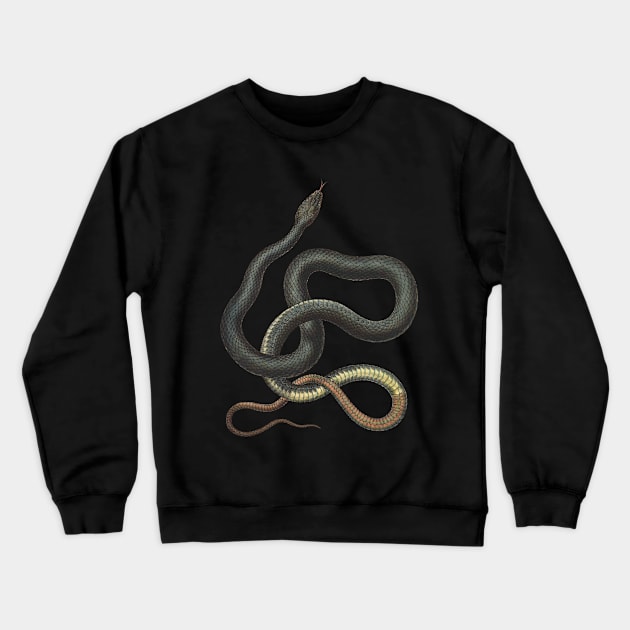 snake Crewneck Sweatshirt by PopGraphics